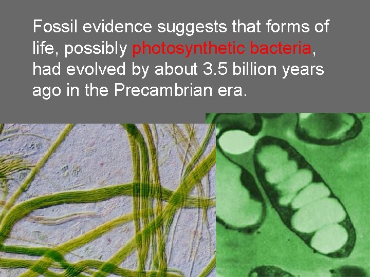 Fossil evidence suggests that forms of life, possibly photosynthetic bacteria, had evolved by about