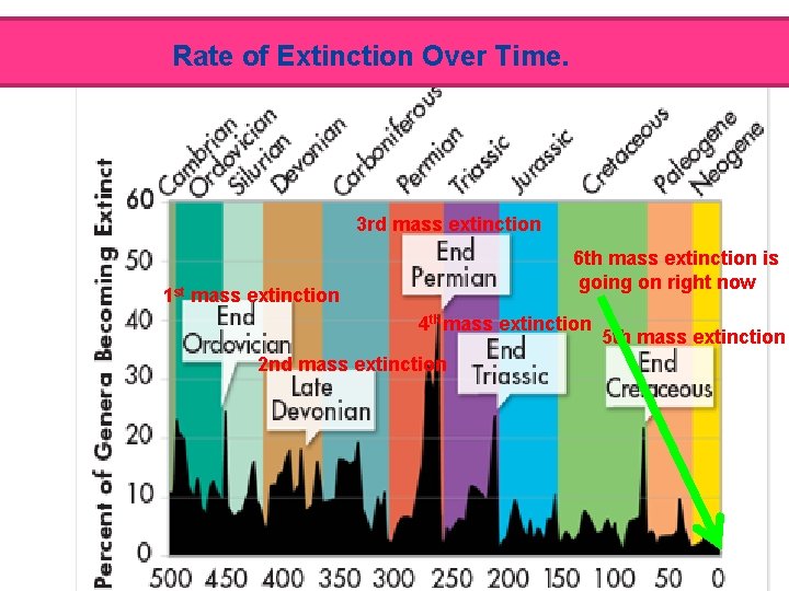 Rate of Extinction Over Time. 3 rd mass extinction 6 th mass extinction is