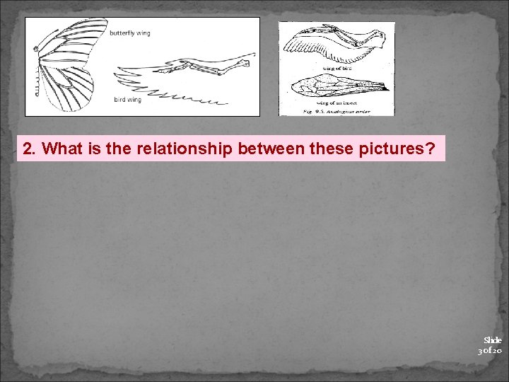 2. What is the relationship between these pictures? Slide 3 of 20 