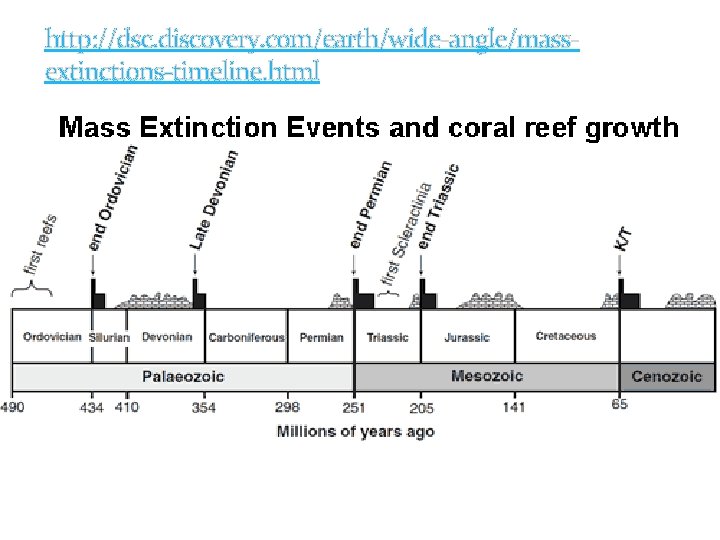 http: //dsc. discovery. com/earth/wide-angle/massextinctions-timeline. html Slide 30 of 20 