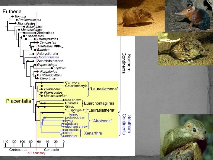 Copyright Pearson Prentice Hall Slide 47 of 20 