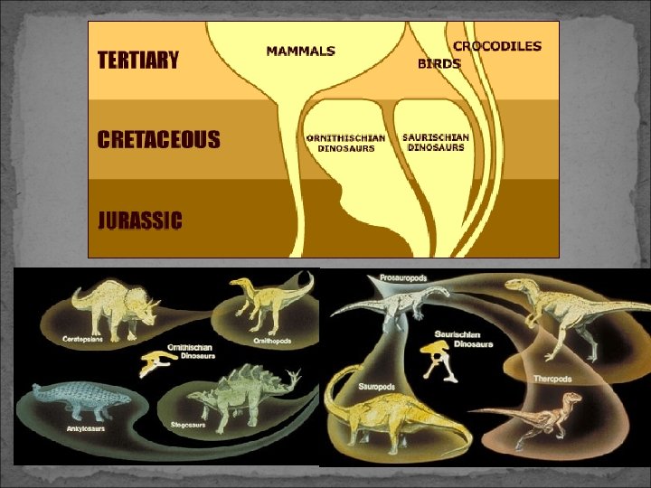 Slide 54 of 20 
