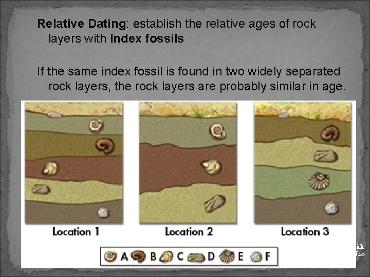 Relative Dating: establish the relative ages of rock layers with Index fossils If the
