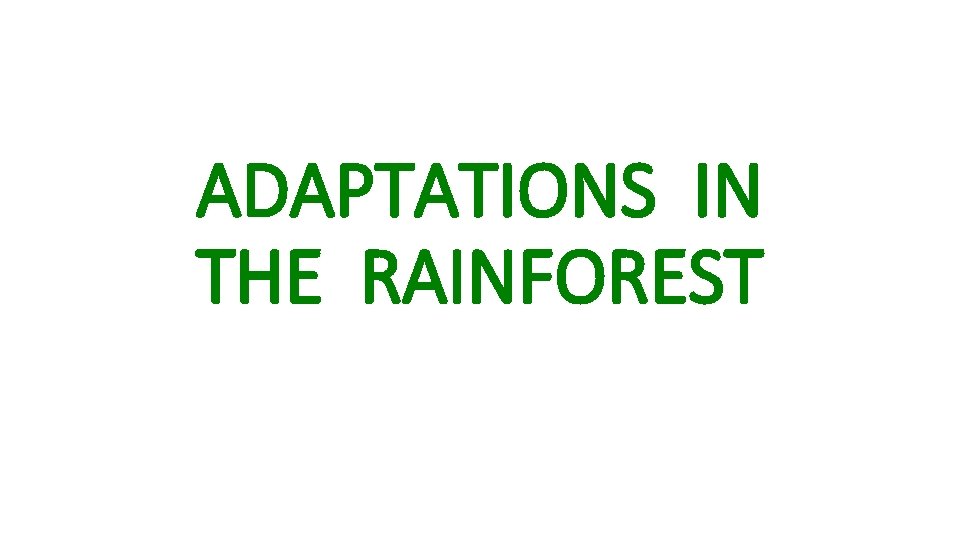 ADAPTATIONS IN THE RAINFOREST 