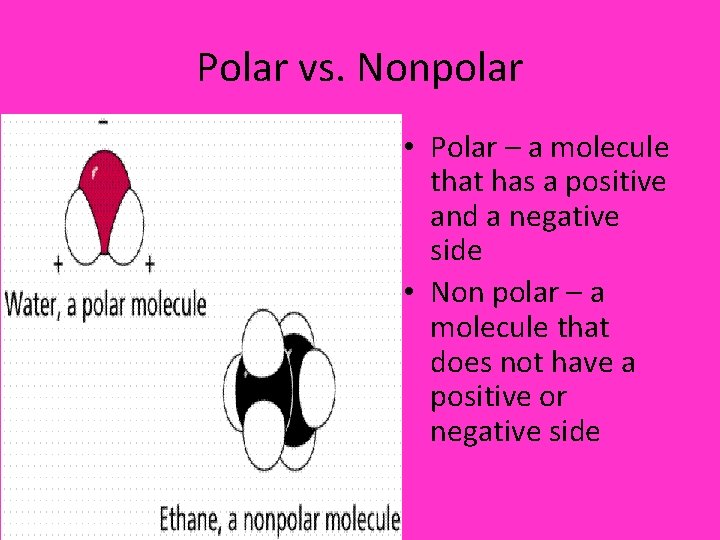 Polar vs. Nonpolar • Polar – a molecule that has a positive and a