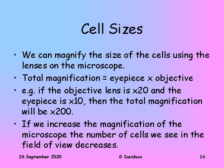 Cell Sizes • We can magnify the size of the cells using the lenses