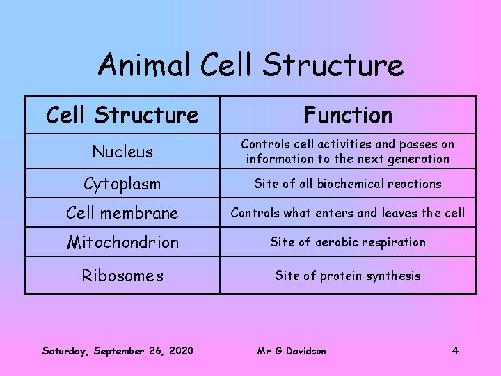 Animal Cell Structure Function Nucleus Controls cell activities and passes on information to the