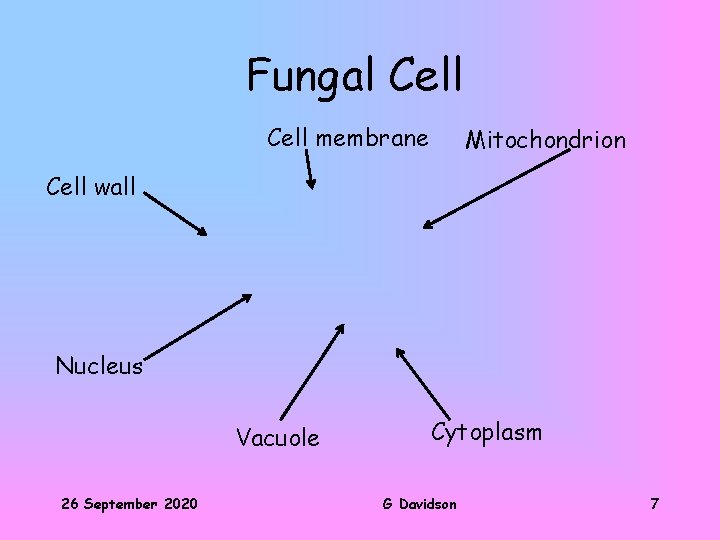 Fungal Cell membrane Mitochondrion Cell wall Nucleus Vacuole 26 September 2020 Cytoplasm G Davidson