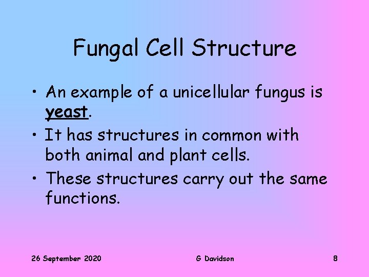 Fungal Cell Structure • An example of a unicellular fungus is yeast. • It