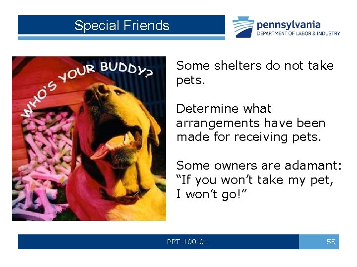 Special Friends Some shelters do not take pets. Determine what arrangements have been made