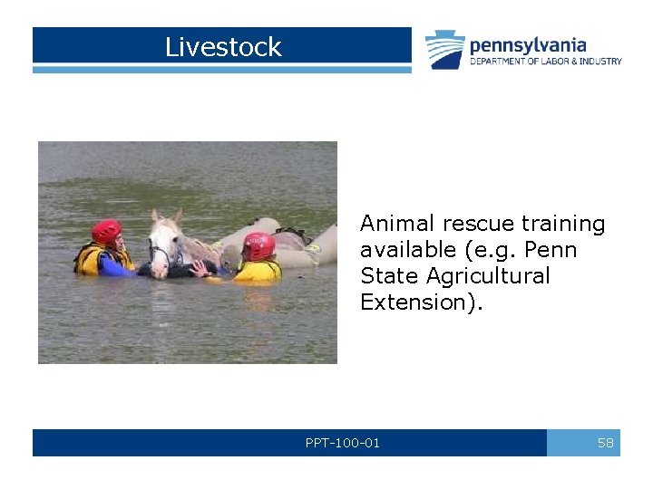 Livestock Animal rescue training available (e. g. Penn State Agricultural Extension). PPT-100 -01 58