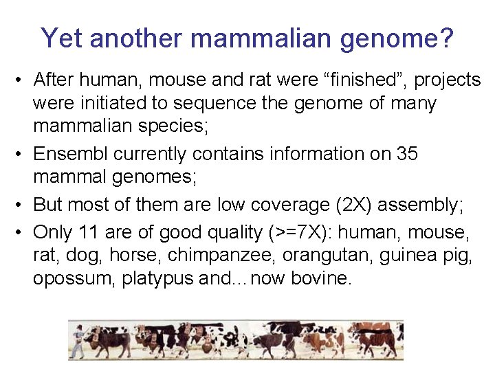 Yet another mammalian genome? • After human, mouse and rat were “finished”, projects were