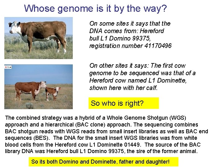 Whose genome is it by the way? On some sites it says that the