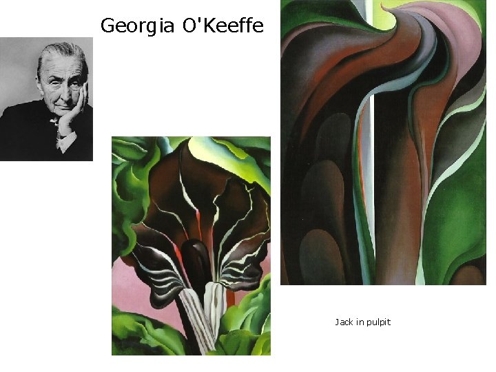 Georgia O'Keeffe Jack in pulpit 