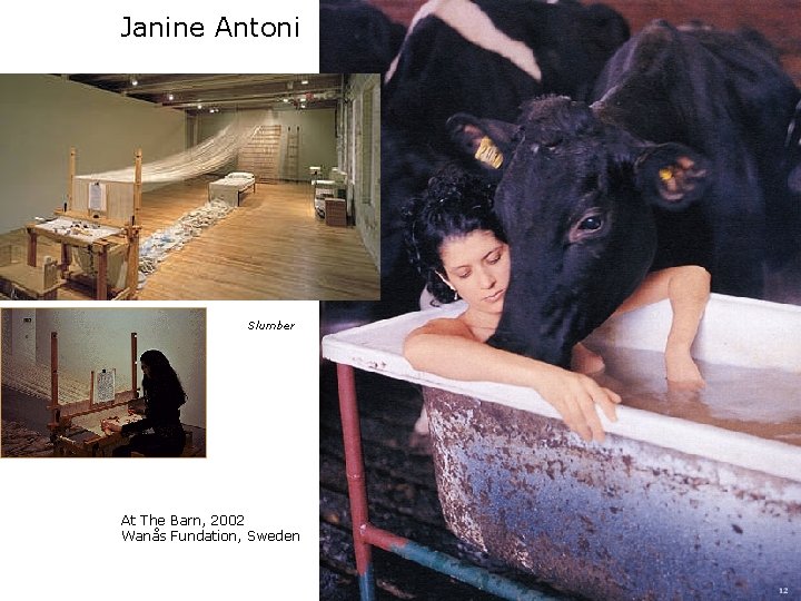 Janine Antoni . vaca Slumber At The Barn, 2002 Wanås Fundation, Sweden 