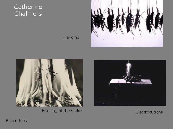 Catherine Chalmers Hanging Burning at the stake Executions Electrocutions 