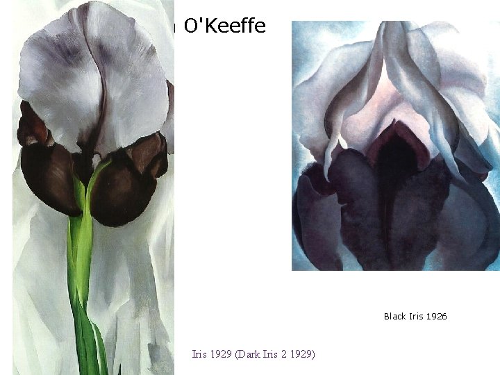 Georgia O'Keeffe Black Iris 1926 Iris 1929 (Dark Iris 2 1929) 