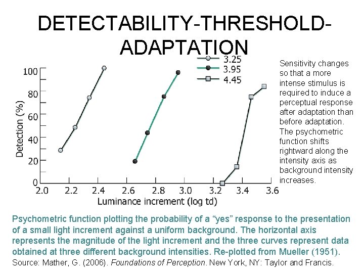 DETECTABILITY-THRESHOLDADAPTATION Sensitivity changes so that a more intense stimulus is required to induce a