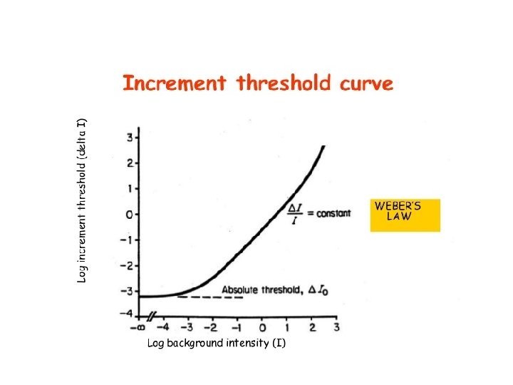 Differential sensitivity difference threshold Absolute threshold yes no