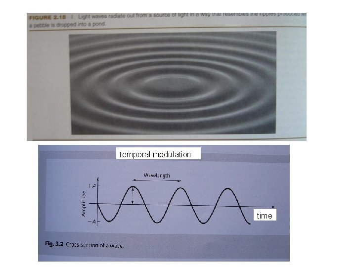 temporal modulation time 