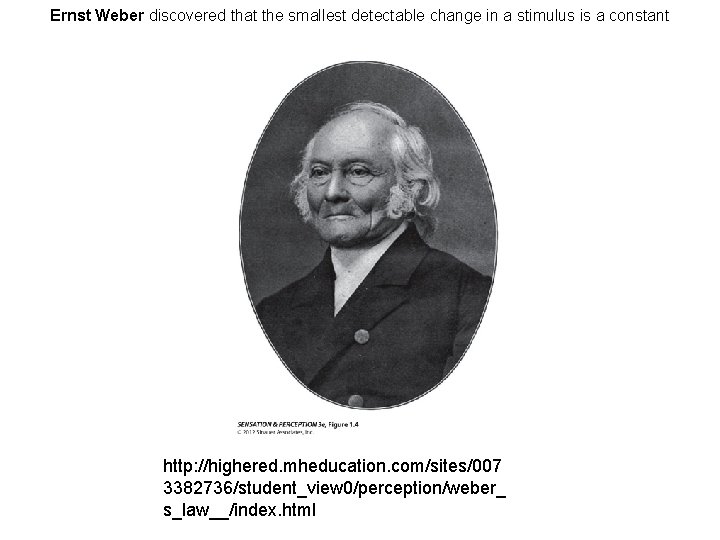 Ernst Weber discovered that the smallest detectable change in a stimulus is a constant