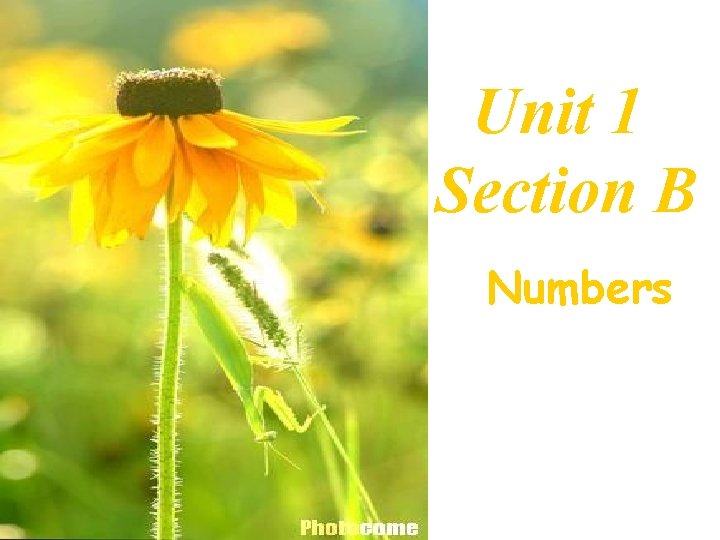 Unit 1 Section B Numbers 