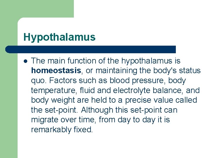 Hypothalamus l The main function of the hypothalamus is homeostasis, or maintaining the body's