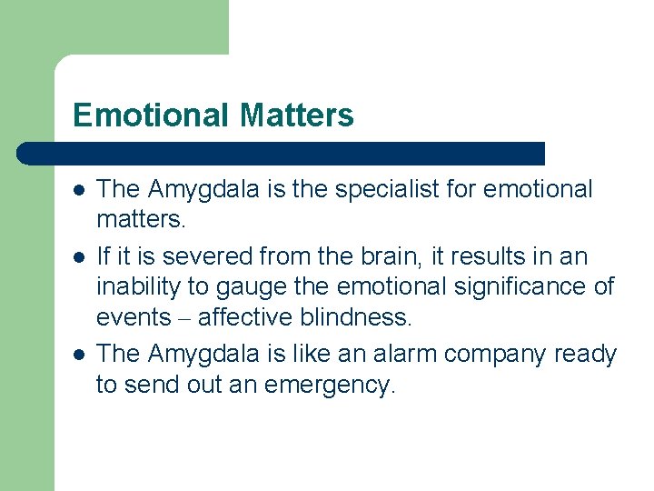 Emotional Matters l l l The Amygdala is the specialist for emotional matters. If