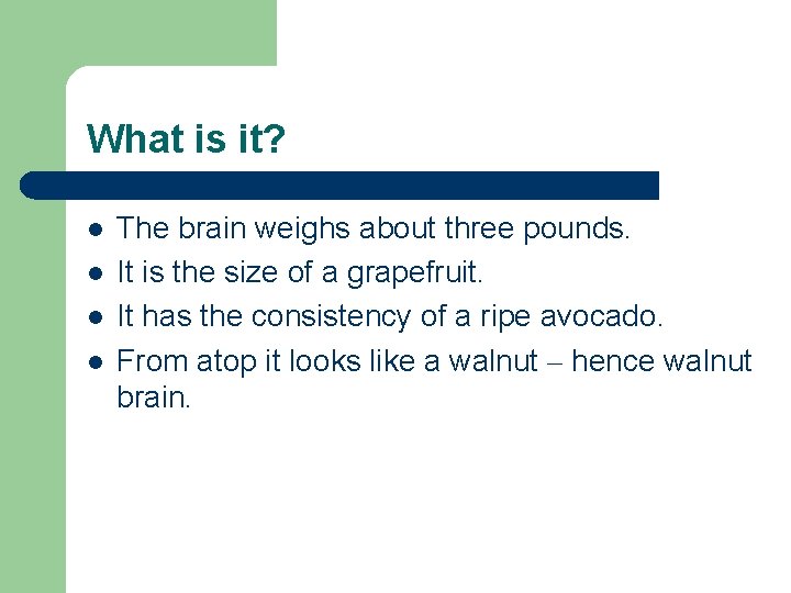 What is it? l l The brain weighs about three pounds. It is the