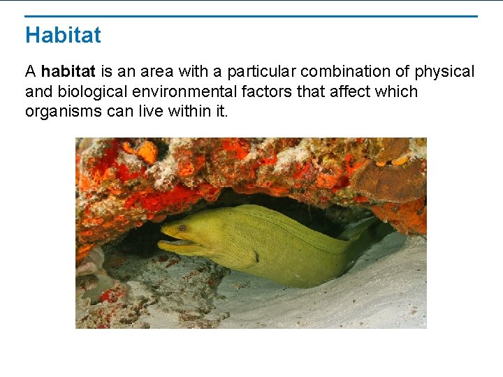 Habitat A habitat is an area with a particular combination of physical and biological