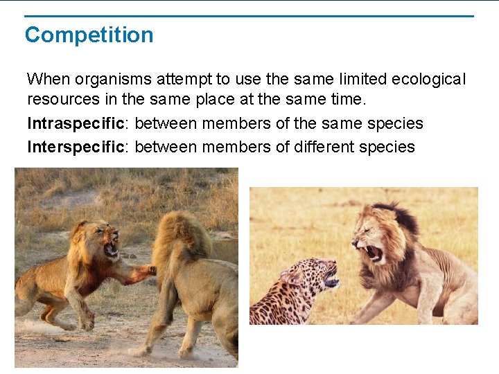 Competition When organisms attempt to use the same limited ecological resources in the same