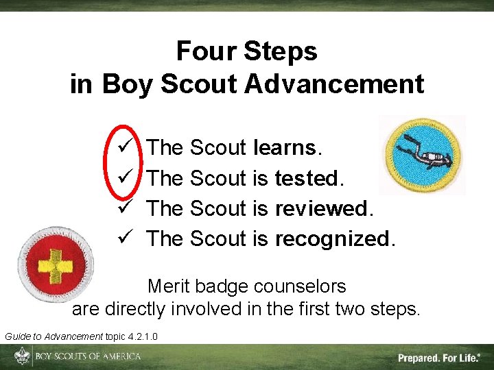 Four Steps in Boy Scout Advancement ü ü The Scout learns. The Scout is