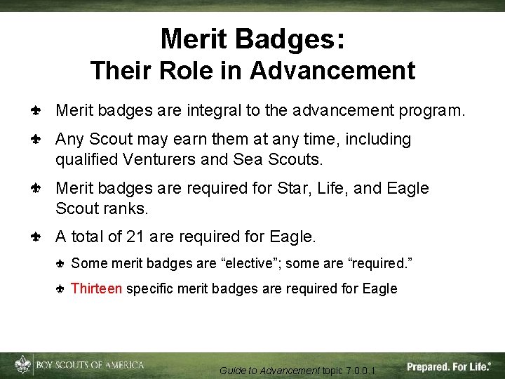Merit Badges: Their Role in Advancement Merit badges are integral to the advancement program.