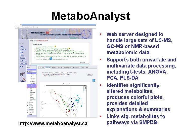 Metabo. Analyst http: //www. metaboanalyst. ca • Web server designed to handle large sets