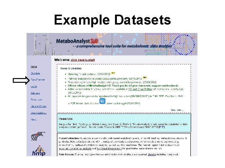 Example Datasets 