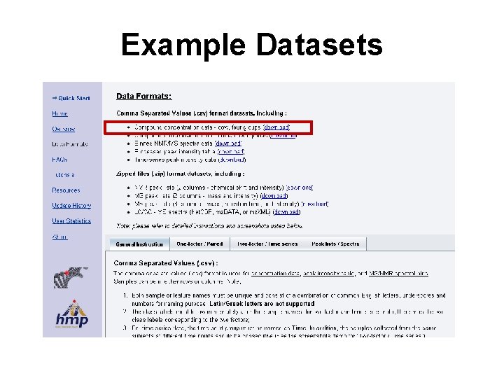 Example Datasets 