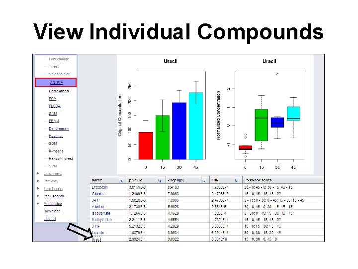 View Individual Compounds 