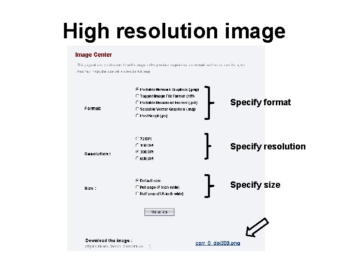 High resolution image Specify format Specify resolution Specify size 