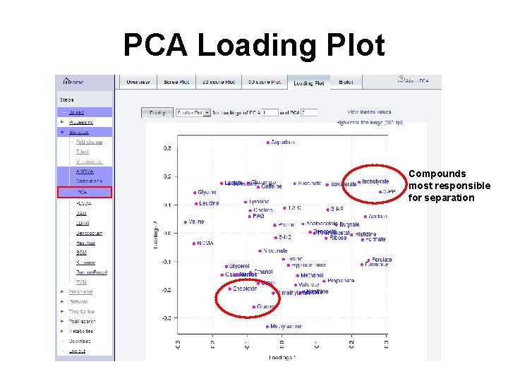 PCA Loading Plot Compounds most responsible for separation 