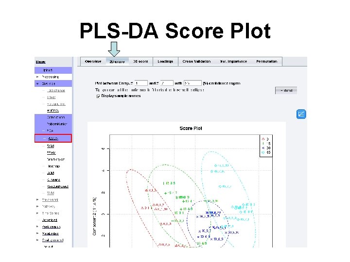 PLS-DA Score Plot 