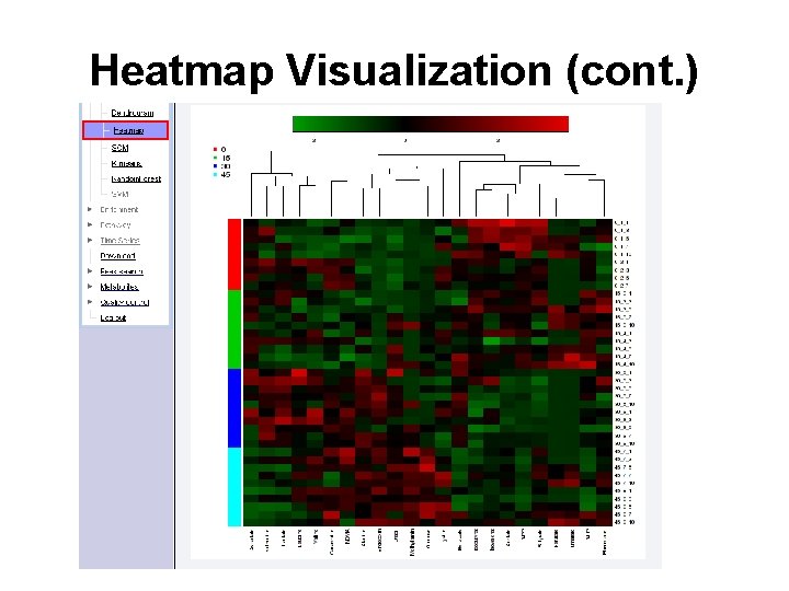 Heatmap Visualization (cont. ) 