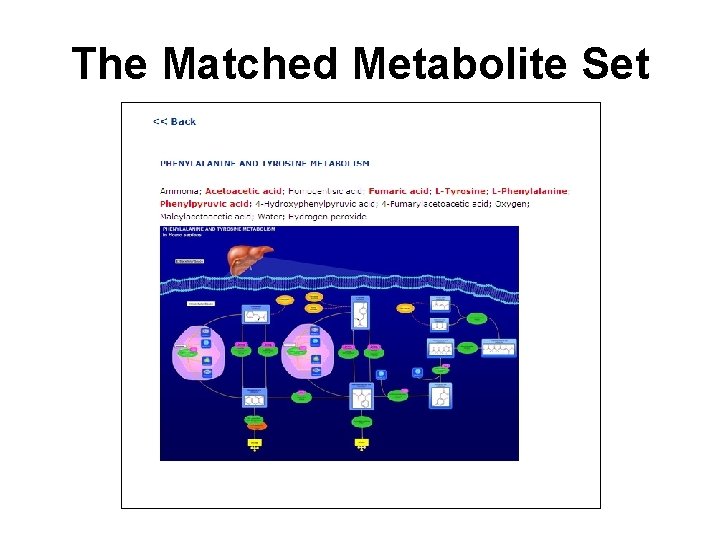 The Matched Metabolite Set 