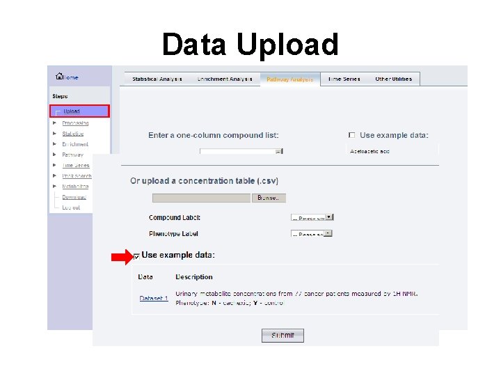 Data Upload 