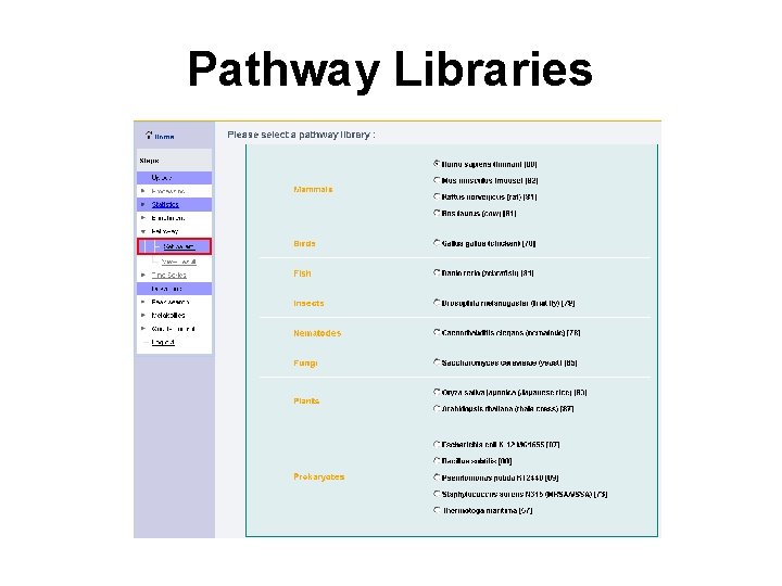 Pathway Libraries 