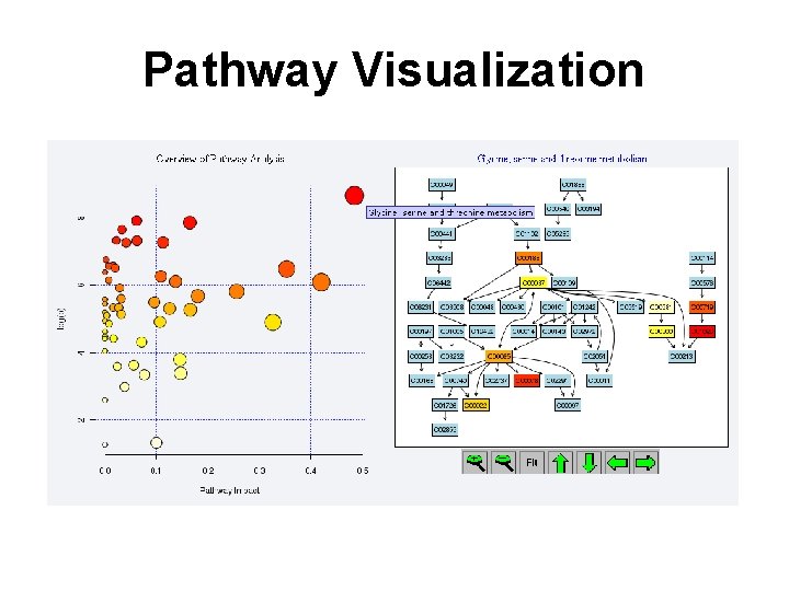 Pathway Visualization 