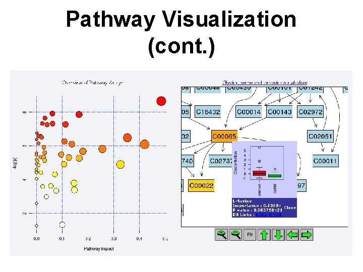 Pathway Visualization (cont. ) 