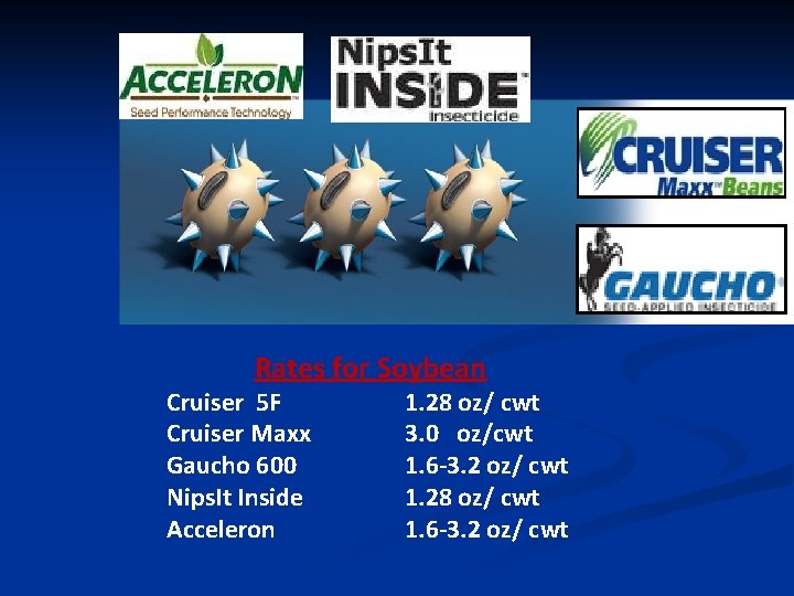 Rates for Soybean Cruiser 5 F Cruiser Maxx Gaucho 600 Nips. It Inside Acceleron