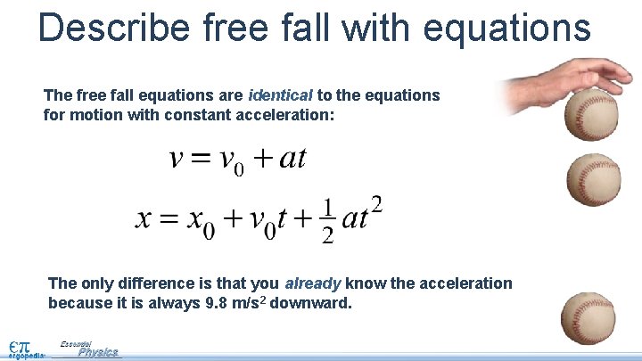 Describe free fall with equations The free fall equations are identical to the equations