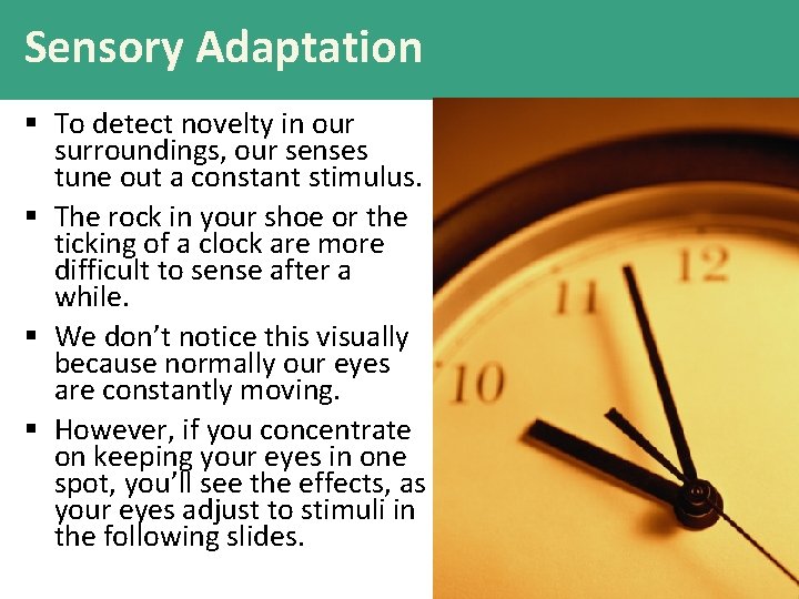 Sensory Adaptation § To detect novelty in our surroundings, our senses tune out a