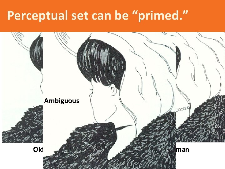 Perceptual set can be “primed. ” Ambiguous Old woman Young woman 